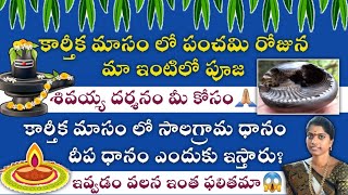 పంచమి రోజున మా ఇంటి పూజశివయ్య దర్శనం మీ కోసం🙏🏼కార్తీకమాసం లో సాలగ్రామ ధానం దీప ధానం ఎందుకు ఇస్తారు [upl. by Nauquf]