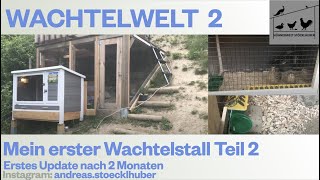 Wachtelwelt 2 Wachtel Stall bauen  Update nach 2 Monaten 2020 [upl. by Htebirol]