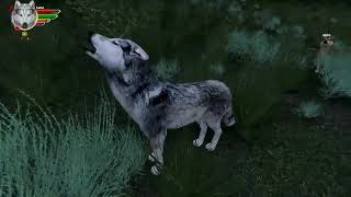 WolfQuest Anniversary Edition  Public Beta Saga Release  Subscribe [upl. by Dasya]