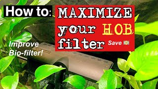 How to  💪Maximize 💪your HOB filter🌿🐟 [upl. by Lubba596]