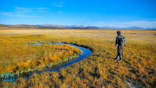 STREAMER FLY FISHING FOR GIANT BROWN TROUT Colorado Pt 1 [upl. by Gebhardt698]