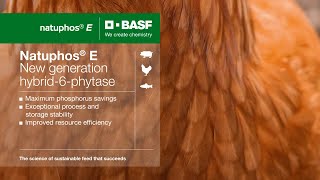 BASF’s Natuphos E – The new era of phytase [upl. by Pendleton]