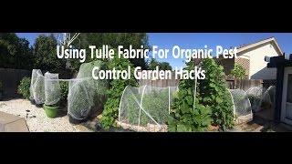 TULLE FABRIC FOR ORGANIC PEST CONTROL  amp Also Sharing My Garden Tour [upl. by Onnem]