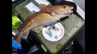 fishing on Torness Nuclear Power StationScotland [upl. by Haeli]