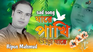 যারে পাখি উইড়া যারেJare pakhi uira jareRipon mahmudNew Bangla sad song Sargam entertainment [upl. by Scarito726]