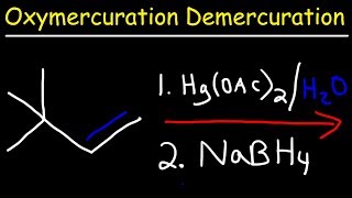 Oxymercuration Demercuration Reaction Mechanism [upl. by Camila]