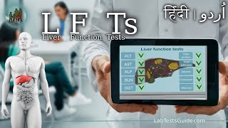 Liver Function Tests LFTs  What You Need to Know [upl. by Frieda]