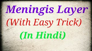 Meninges and CSF l  in hindi by Aavedicgyankd [upl. by Losyram]