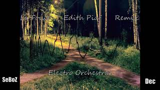 Edith Piaf La Foule Remix Electro orchestral Seboz Dec Destiny [upl. by Gefen]