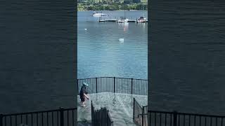 The walkway in Wanaka flooded￼￼ [upl. by Ynohtnaluap]