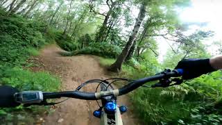 Surrey Hills MTB  YOGHURT POTS 🔵 Trail [upl. by Devonne]