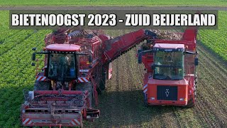 Bietenoogst 2023 ZuidBeijerland  Holmer Exxact T430 en Holmer Overlaadwagen  Sugar Beet Harvest [upl. by Aelsel264]