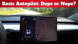 Tesla Basic Autopilot Features  What Does It Really Do [upl. by Jamilla203]