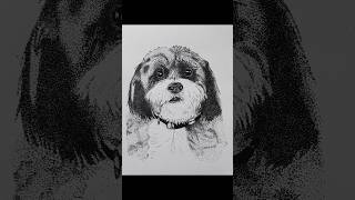 Cute puppy drawing🐶 art drawing pointillism shortsfeed shorts trending youtubeshorts [upl. by Pedaiah]