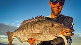 Artificial lure fishing and top water action  Ningaloo Reef  Exmouth Wa [upl. by Vida]