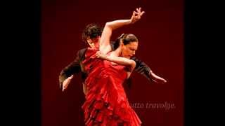 Flamenco de fuego [upl. by Pierrepont882]