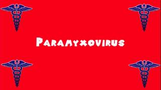 Pronounce Medical Words ― Paramyxovirus [upl. by Brenan427]