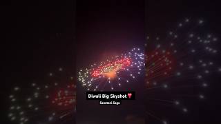 Diwali Crazy Experiment viralvideo fireworks crackerstesting diwalicelebration experiment [upl. by Jenks]