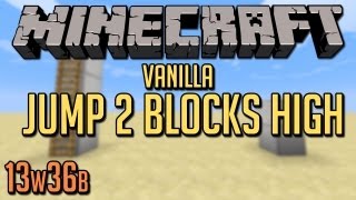 Minecraft  How to Jump 2 Blocks High Vanilla [upl. by Neyuh641]