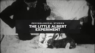 The Little Albert Experiment [upl. by Ralaigh]