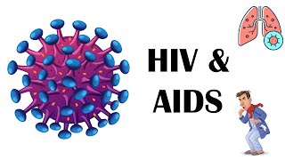 HIV amp AIDS  Stages Transmission Risk Factors Signs amp Symptoms [upl. by Jasun]