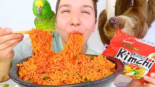 Korean Kimchi Ramen Noodles With My Sloth • MUKBANG [upl. by Aneeles]