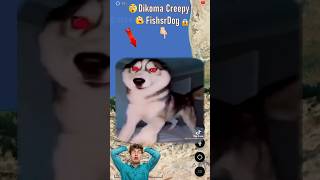 Dikoma Creepy Fisherdog😱🤯 on Google Earth 🌎 and Google maps shorts Fun With Earth [upl. by Dinnie]