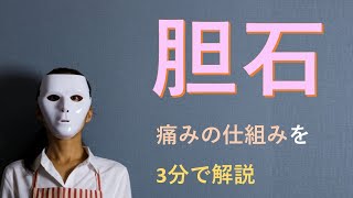 胆石で痛みが生じる仕組みを、わかりやすく簡単に説明【医師解説】2022年版 [upl. by Anilehs]