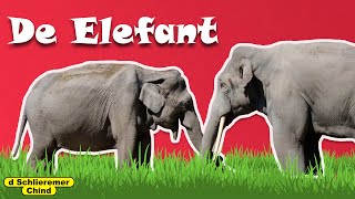 Schlieremer Chind  De Elefant [upl. by Gayn]