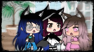 Las amigas de Camiloenchufetv gacha life [upl. by Lello]