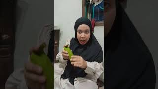 lagi makan semangka semangka lucu makanbuah funny shorts videoshort [upl. by Enawtna530]