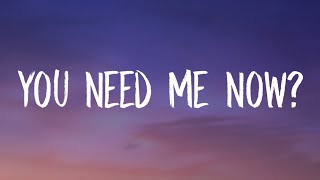 girl in redSabrina Carpenter  You Need Me Now Lyrics [upl. by Asiuol]