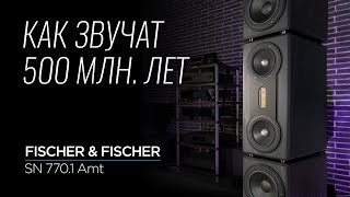 Акустика из сланца Fischer amp Fischer SNSL 7701 AMT [upl. by Muiram753]