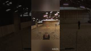 Mécanisation deux obstacles horse cheval jumping saut equestrian equitation horseriding [upl. by Nader]