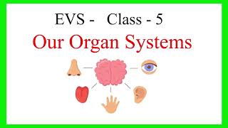 Organ System Names of Human Organ Systems Class 5  book back exercise  question and answer [upl. by Laidlaw]