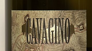 Cavagino Vermentino Colli di Luni DOC 2015  Cantine LVNAE Bosoni [upl. by Nart]