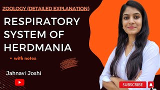 Respiratory System of Herdmania Notes Bsc 2nd year Zoology [upl. by Oliver]