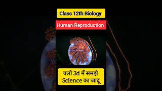 Human Reproduction Class 12 Biology Reproduction in human ncert neet class12th [upl. by Amador710]