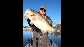 Giant Largemouth Eats Squarebill Crankbait Shorts [upl. by Nella209]