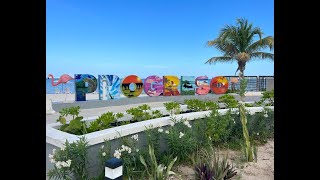 Progreso Mexico Cruise Port 5 Minute Review [upl. by Rednirah]