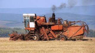 Комбайны СК5М1 и Енисей12001 уборочная как в старые добрые времена [upl. by Llerroj]