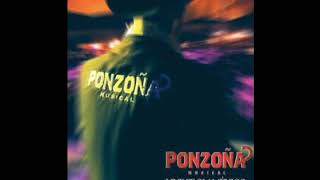 Ponzoña Musical Live From Mexico [upl. by Assilak372]