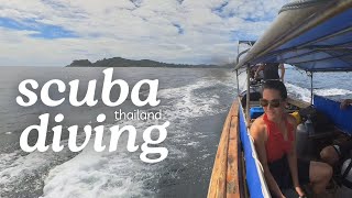 Scuba Dive with Me in Koh Lipe Thailand silent vlog [upl. by Eissalc238]