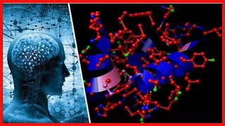 Somatostatina síntesis y funciones [upl. by Esimaj]