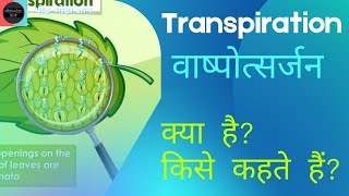 transpiration plant in Hindi वासपोत्सर्जन प्लान botany [upl. by Donnenfeld92]