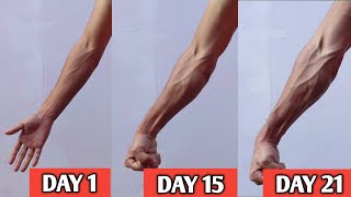 Get deadly forearms in 21 days  Home workout [upl. by Bunder]