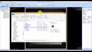 how to export angiogram dicomcdimages to video file [upl. by Leitman128]