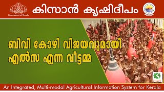 Documenatary on poultry rearing  BV380 variety  kissan krishideepam Episode 656 [upl. by Rose]