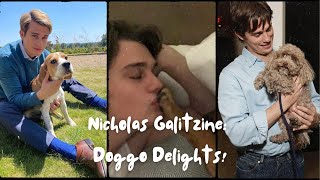 Nicholas Galitzine Doggo Delights ❤️🐶 [upl. by Eisenberg901]