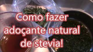 Como fazer adoçante natural com stevia [upl. by Othella454]